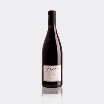 ワイン BRUNO PAILLARD LE MESNIL 2020 BRUNO PAILLARD LE MESNIL 2020 飲料・酒